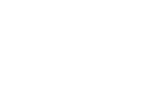 CaseConnect Logo